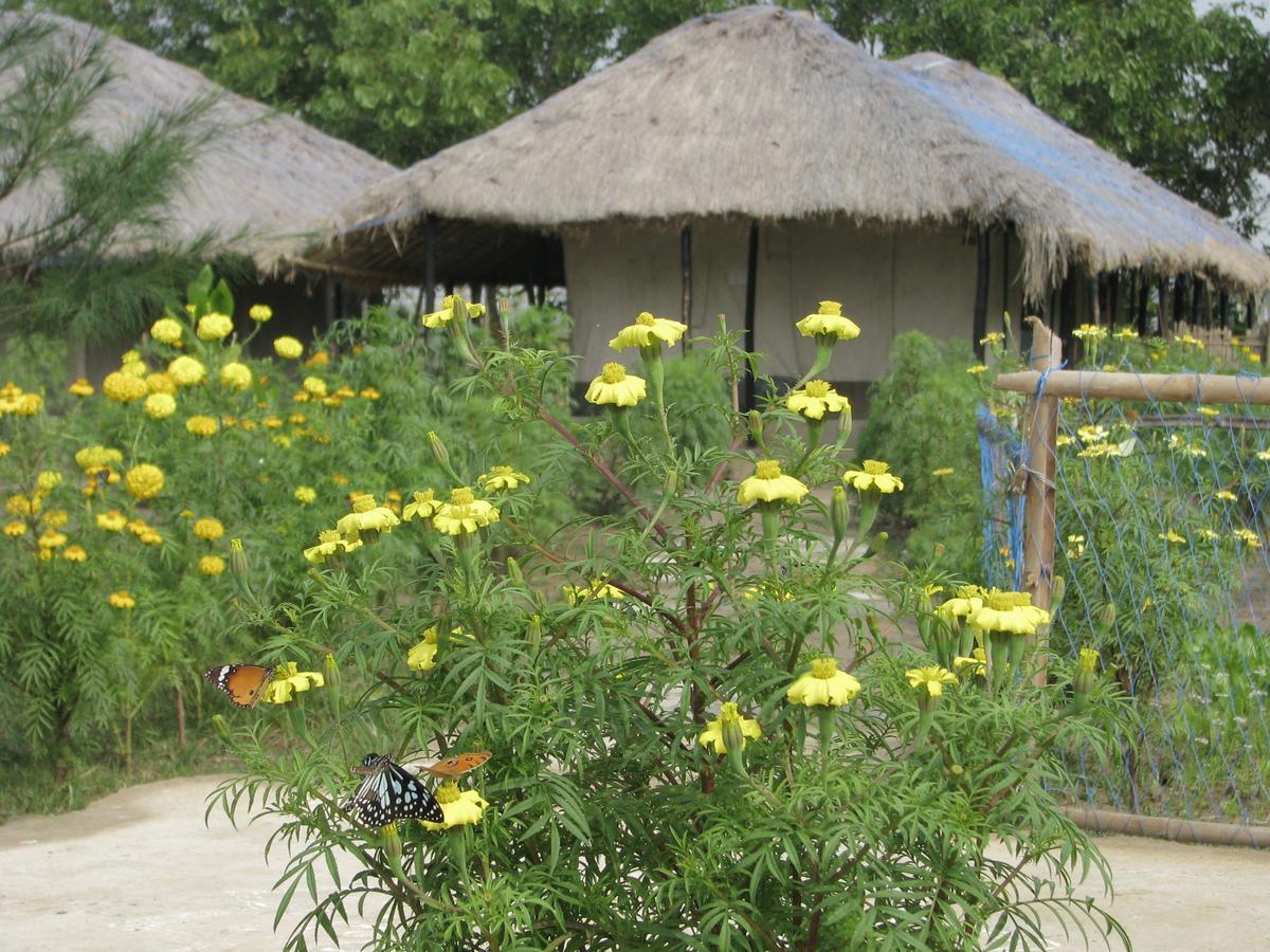 Estuarine Village Resort Satabhaya Екстер'єр фото